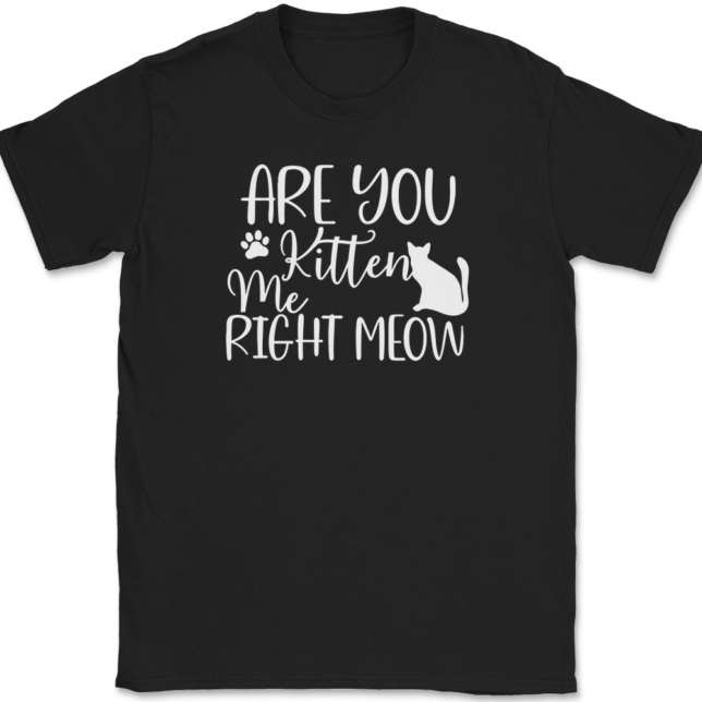 Are You Kitten Me Right Meow T-Shirt Mens Tee