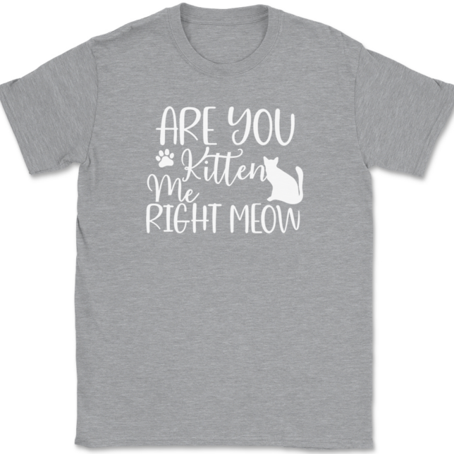 Are You Kitten Me Right Meow T-Shirt Mens Tee - Image 2