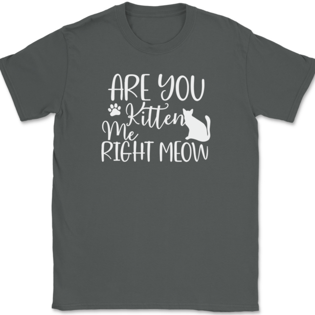 Are You Kitten Me Right Meow T-Shirt Mens Tee - Image 3