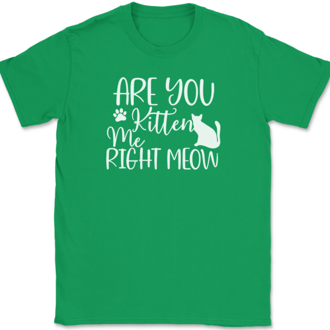 Are You Kitten Me Right Meow T-Shirt Mens Tee - Image 7