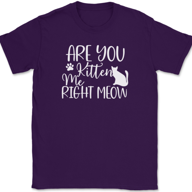 Are You Kitten Me Right Meow T-Shirt Mens Tee - Image 8